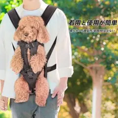 3COINS 顔出しベアバック 新品未使用 スリーコインズ 犬 お散歩 カバン