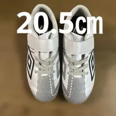 フットサルシューズ　20.5㎝ umbro 白