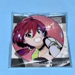 コンパス　きらら　輝龍院きらら　缶バッジ　アニアート　24個セット 輝龍院 きらら | #コンパスマート