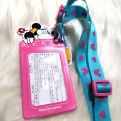 東京ディズニーランド ミニーマウス パスケース ピンク