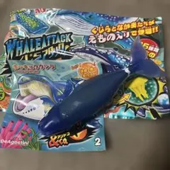 くじらアタック　&.Co アンドコ　ホッキョククジラ　のびーる　くじら　レア！のサムネイル
