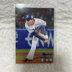 カルビー プロ野球チップスカード 2026 東京ヤクルトスワローズ 星知弥