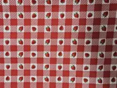 大SALE✨USA fabric タイムレストレジャー いちごギンガム♡