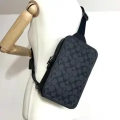 2026年最新】coach ウエストポーチ シグネチャーの人気アイテム - メルカリ