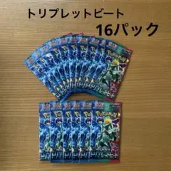 トリプレットビート　バラ　16パック