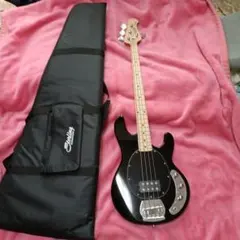2026年最新】musicman ベースケースの人気アイテム - メルカリ