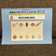 ちなぷ様 リクエスト 4点 まとめ商品