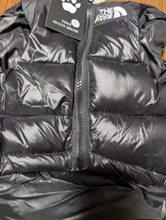 Item thumbnail for item 66076b27-5c71-495d-a7bf-ae91cdbc7ff7