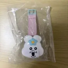 んぽちゃむ　きゅーとなおかおウォッチ