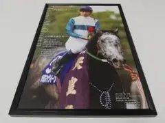 競馬 メジロマックイーン パネル 名馬の肖像