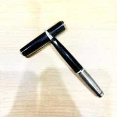 PILOT 万年筆 14K 585 Elite シルバー パイロット エリート - メルカリ