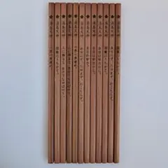 Item thumbnail for item f5e621f2-5408-4e3e-8902-066ccd801d44