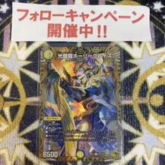 デュエルマスターズ 光鎧龍ホーリーグレイス B シークレット シク 4枚