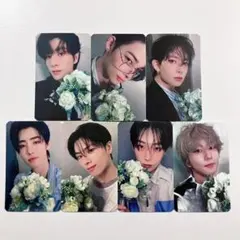 ENHYPEN daydream yizhiyu 花束 7種セット コンプリート