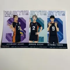 ハイキュー!! 烏野高校 TOHO 特典 影山 菅原 東峰