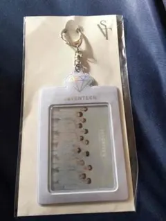 セブチ ドームツアーグッズ