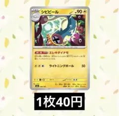 2026年最新】ポケモンカード シビビールの人気アイテム - メルカリ