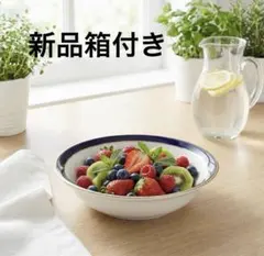 【新品箱付き】ノリタケ　ラピスコレクション　オートミール皿のサムネイル
