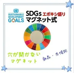 2025年最新】sdgs バッジ マグネットの人気アイテム - メルカリ