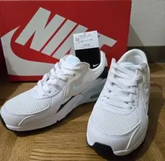 Item thumbnail for item 231cf2b9-678f-4337-8bb1-f259217c8eaa