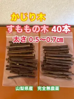 フルーツかじり木　1種類40本　すもも　0.5〜0.7㎝　山梨県産完全無農薬