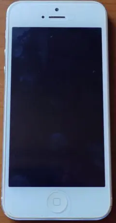 Item thumbnail for item 55b5d2d4-fed7-4ecc-8ea8-de5566e1a5b9