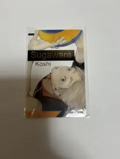 ハイキュー!! 箔押しクリアカードコレクション 菅原孝支