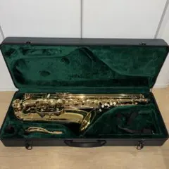 レア Kaerntner カーブドソプラノサックス 管楽器 ハードケース付属
