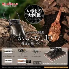 いきもの大図鑑 超レア含む 未開封セット　※在庫確認中、必ずコメントを いきもの大図鑑 最強いきものバトルブック (超ひみつゲット! 127