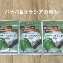 和漢の森 バナバ&サラシアの恵み 30粒入り 3袋 - メルカリ