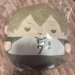 ハイキュー‼︎ ぬいくじ　C賞ふわコロりん　Mサイズ　木葉秋紀