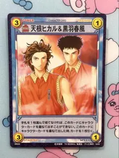 テニスの王子様 トレカ 天根ヒカル & 黒羽春風 六角