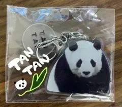 2026年最新】タンタン パンダの人気アイテム - メルカリ