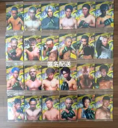 RIZINウエハースカード 2024 まとめ売り24枚