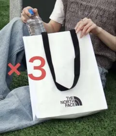 THE NORTH FACE ターポリンエコバッグ　3点まとめ売り　S