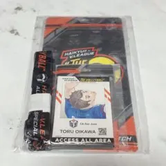 ハイキュー　Vリーグ チケットホルダー バックステージパス風 カードホルダー