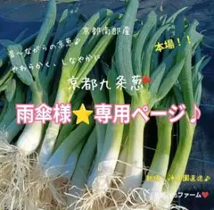 ⭐️雨傘 様✨️ご専用です♪♪（1キロ束♡）