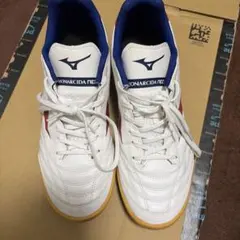 26センチ　MIZUNO MONARCIDA NEO フットサル