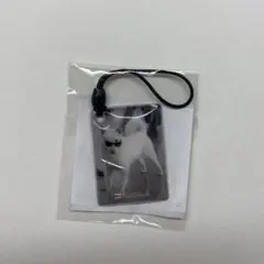 SoftBank ソフトバンク お父さんクリーナーストラップ（CM編）