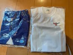 コスモスポーツ　COSMO SPORTS 体操服セット 110サイズ