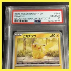 【極美品】【暗所保管】ポケモンカード イラストレーションピカチュウ PSA10 ピカチュウ イラストレーションコンテスト2024 PSA10 ポケモン
