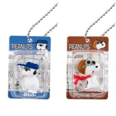 PEANUTS パッケージミニチュアコレクション クラシックver. 2点セット