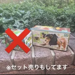 【新品】アニア　スカー