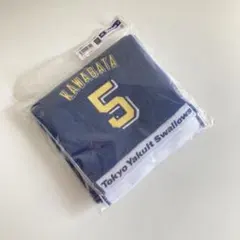 Item thumbnail for item da0089df-3edb-4aa6-974c-59dd6dae817b