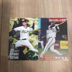 2023年 カルビー STAR CARD Ryuhei Sotani