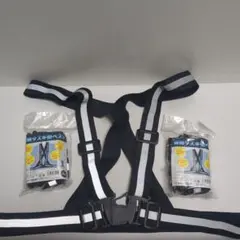 Item thumbnail for item 6646b334-8048-472a-b13c-e67967ba6ba4