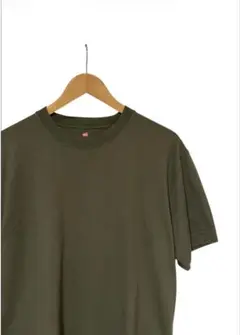 Hanes BEEFY-T niko and... 別注　無地T