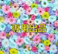 r様専用☆シルバニアファミリー 赤ちゃんケーキパーティーシリーズ 2個セット