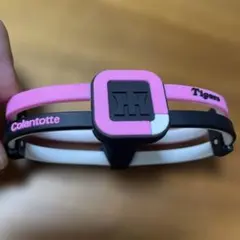 Item thumbnail for item 7fc70733-41c7-4884-9d12-4efcfb541c3b