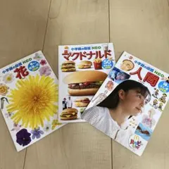 Item thumbnail for item a22d3e4b-2fcf-4997-8530-bbfb3ffb62fe